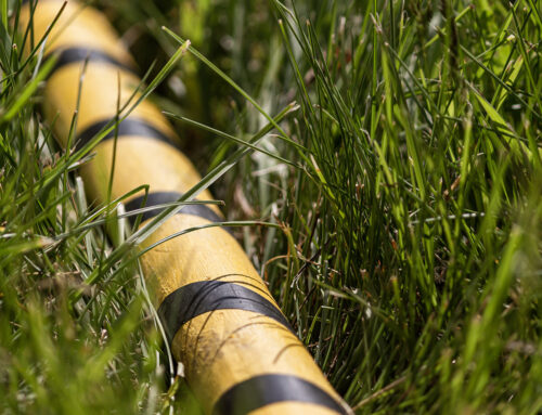 Updated Schedule & Upcoming 2025–2026 Practice Dates